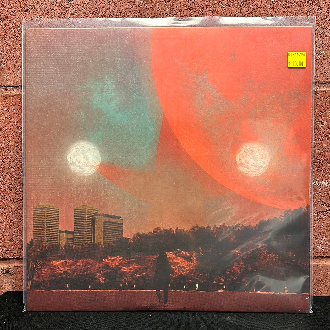 Used Vinyl: Erika Dohi "I, Castorpollux" LP