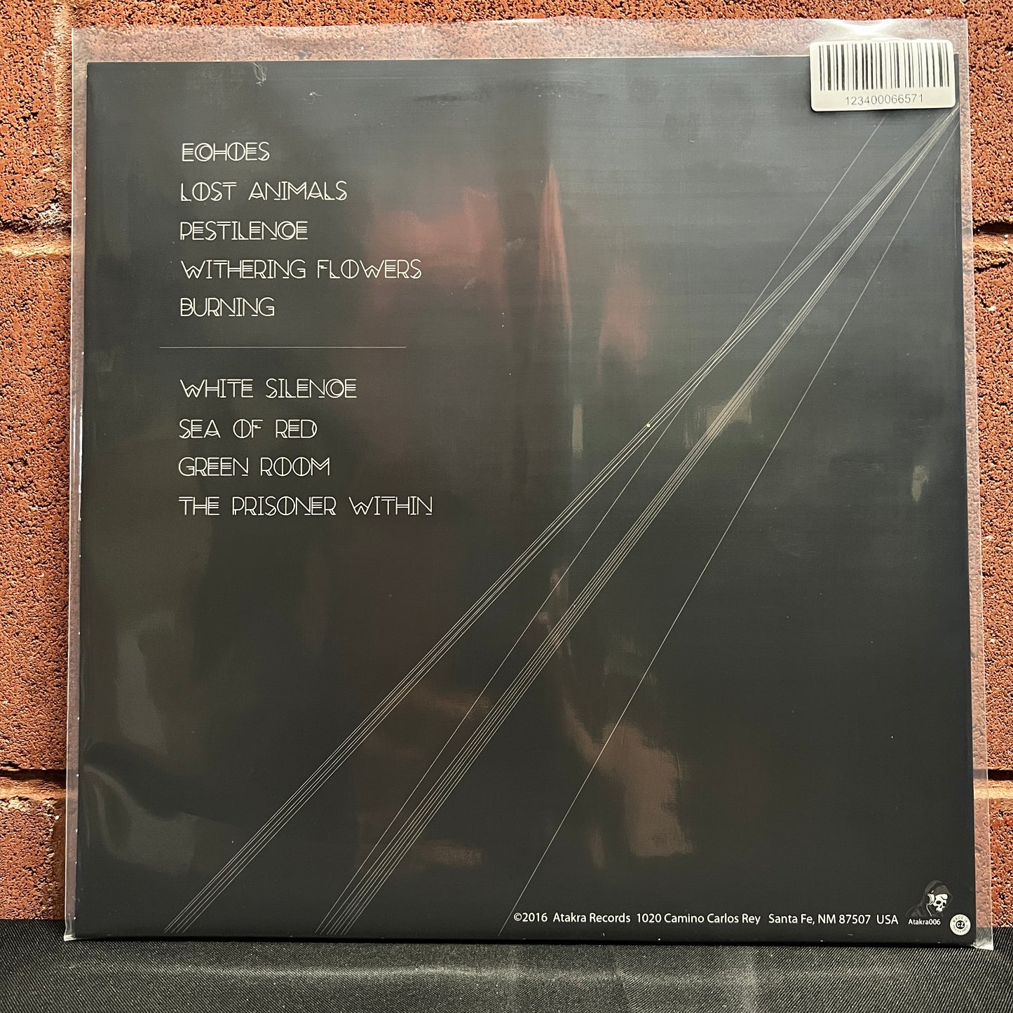 Used Vinyl: Esses "No Light In This Fire" LP
