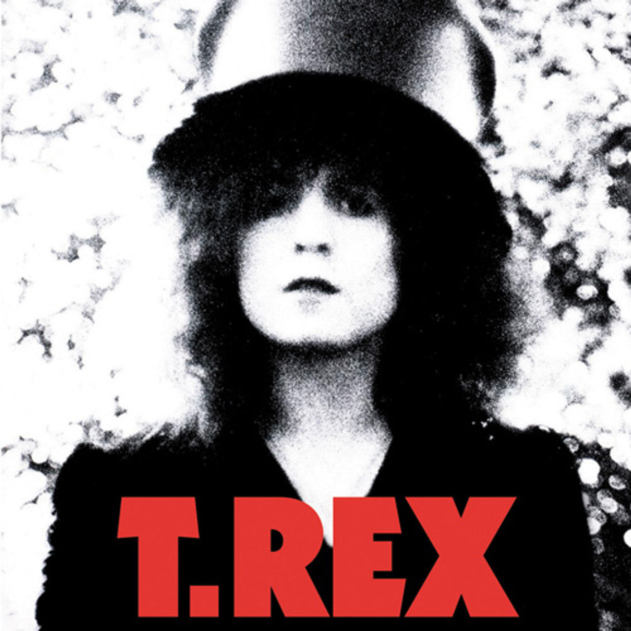 T. Rex "Slider" LP