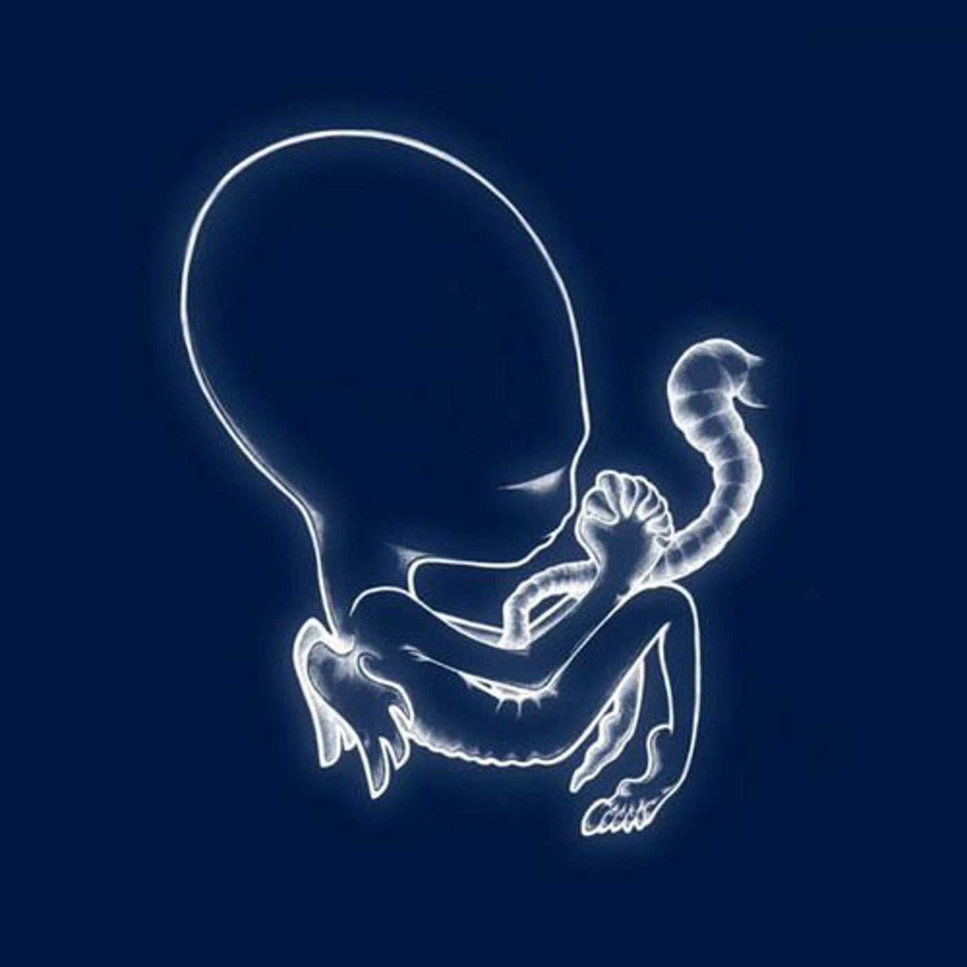 Sigur Ros "Agætis Byrjun" 2xLP