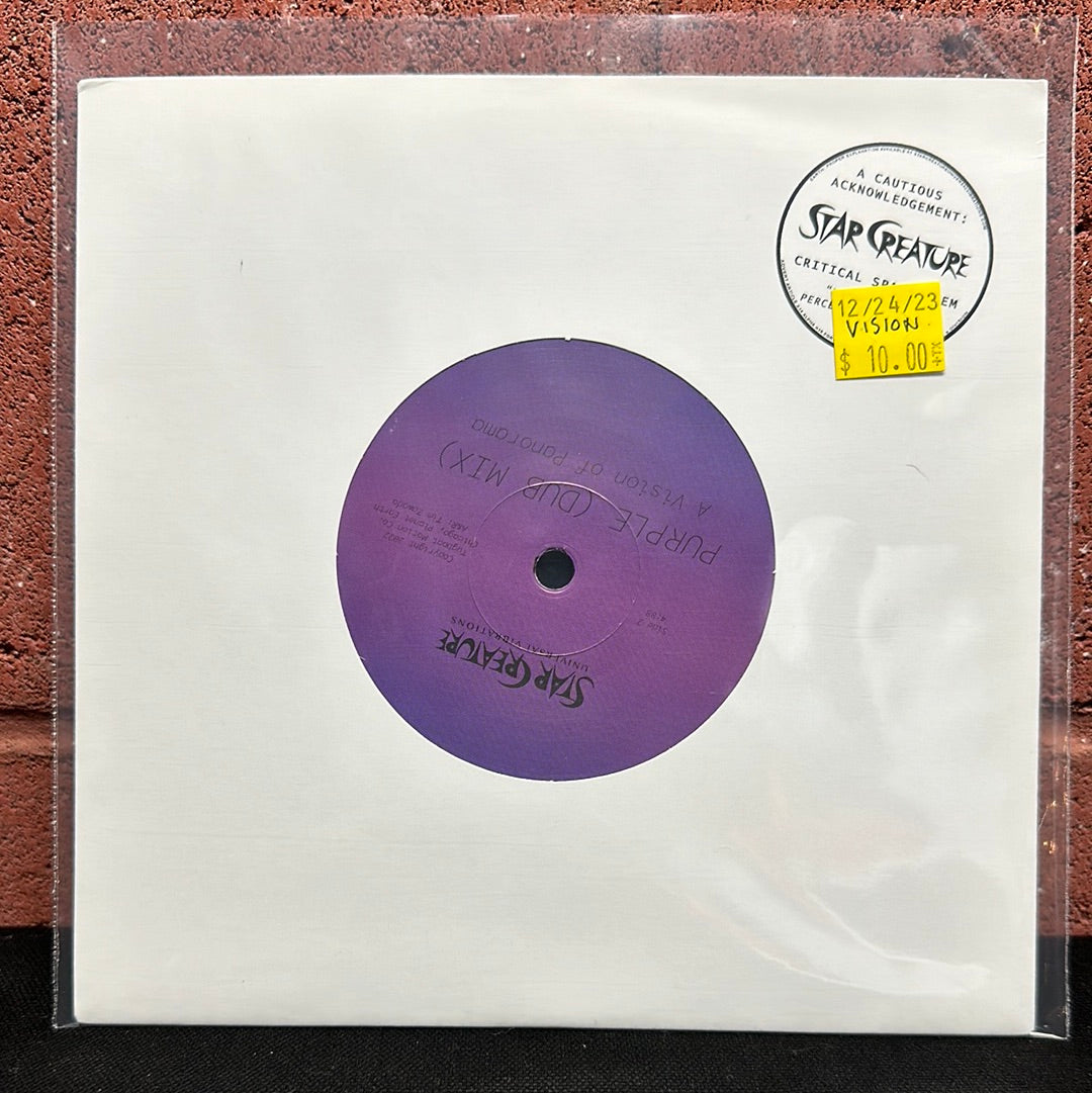 Used Vinyl: A Vision of Panorama "Purple" 7"