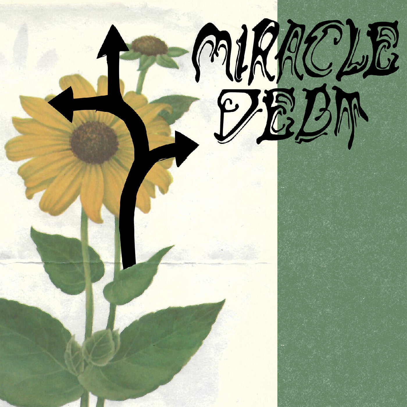 Miracle Debt "Under the Shadow" LP
