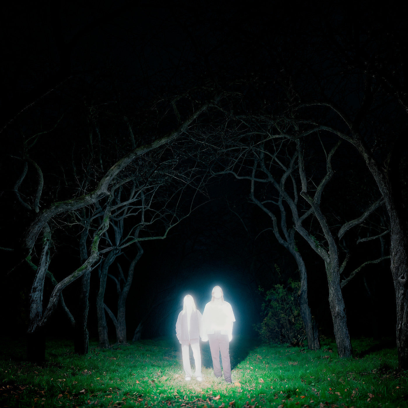 PRE-ORDER: Gnoomes "Losey" LP (Indie Exclusive Slate Gray Vinyl)