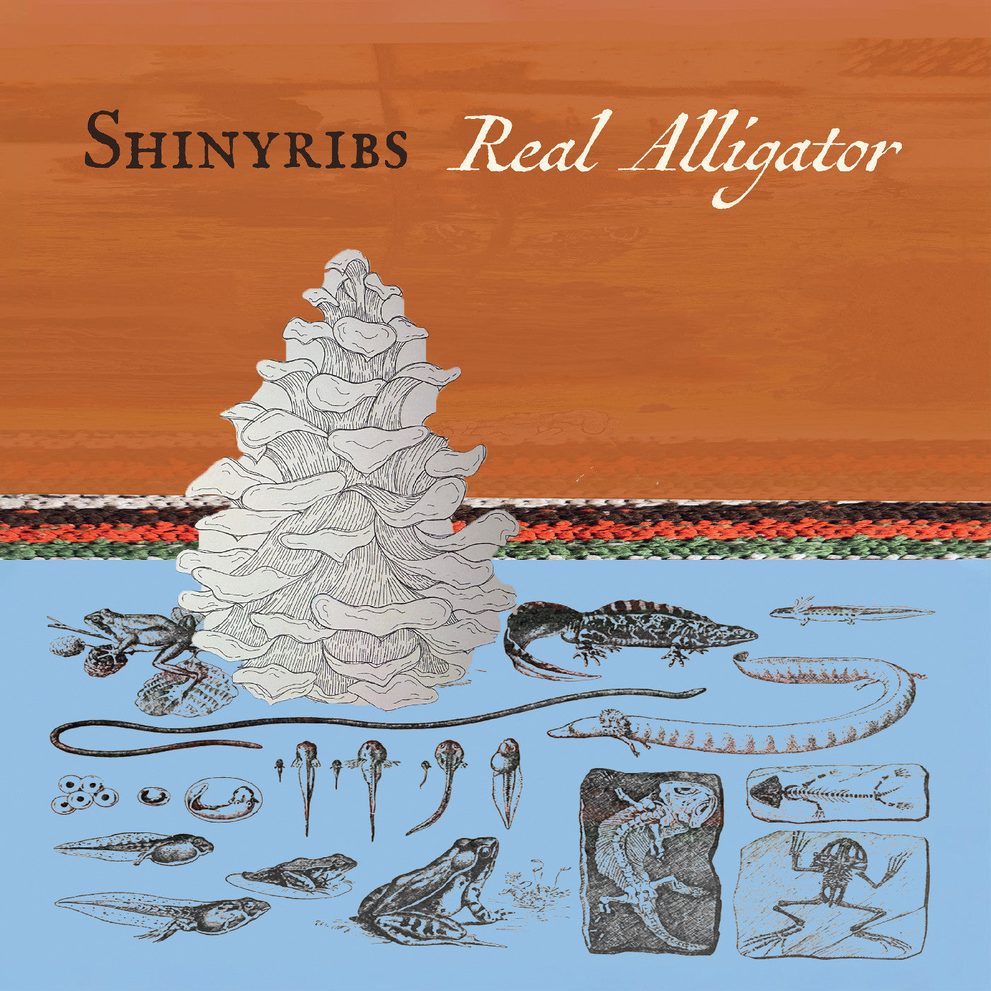 PRE-ORDER: Shinyribs "Real Alligator" LP