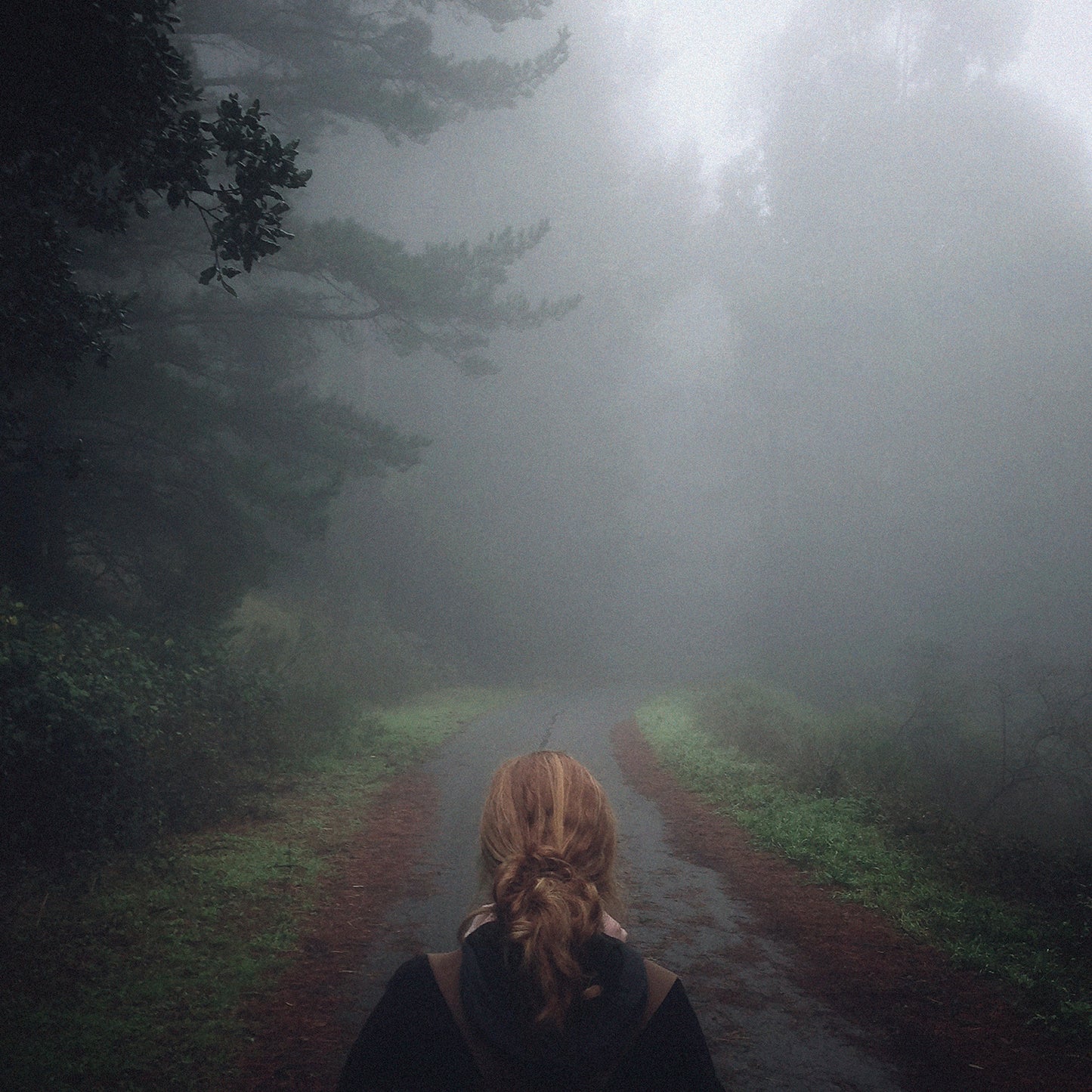 PRE-ORDER: MONO "Under The Pipal Tree (25th Anniversary Edition)" 2xLP (Iridescent "Forest Night" Color Vinyl)