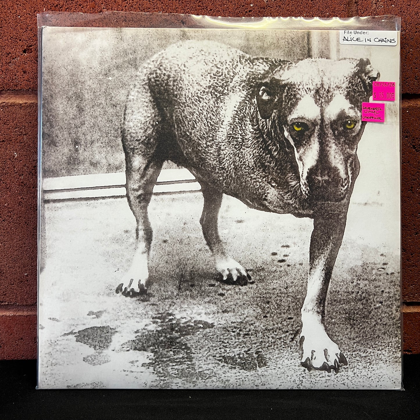 Used Vinyl: Alice In Chains "S/T" 2xLP (Lavender Vinyl)