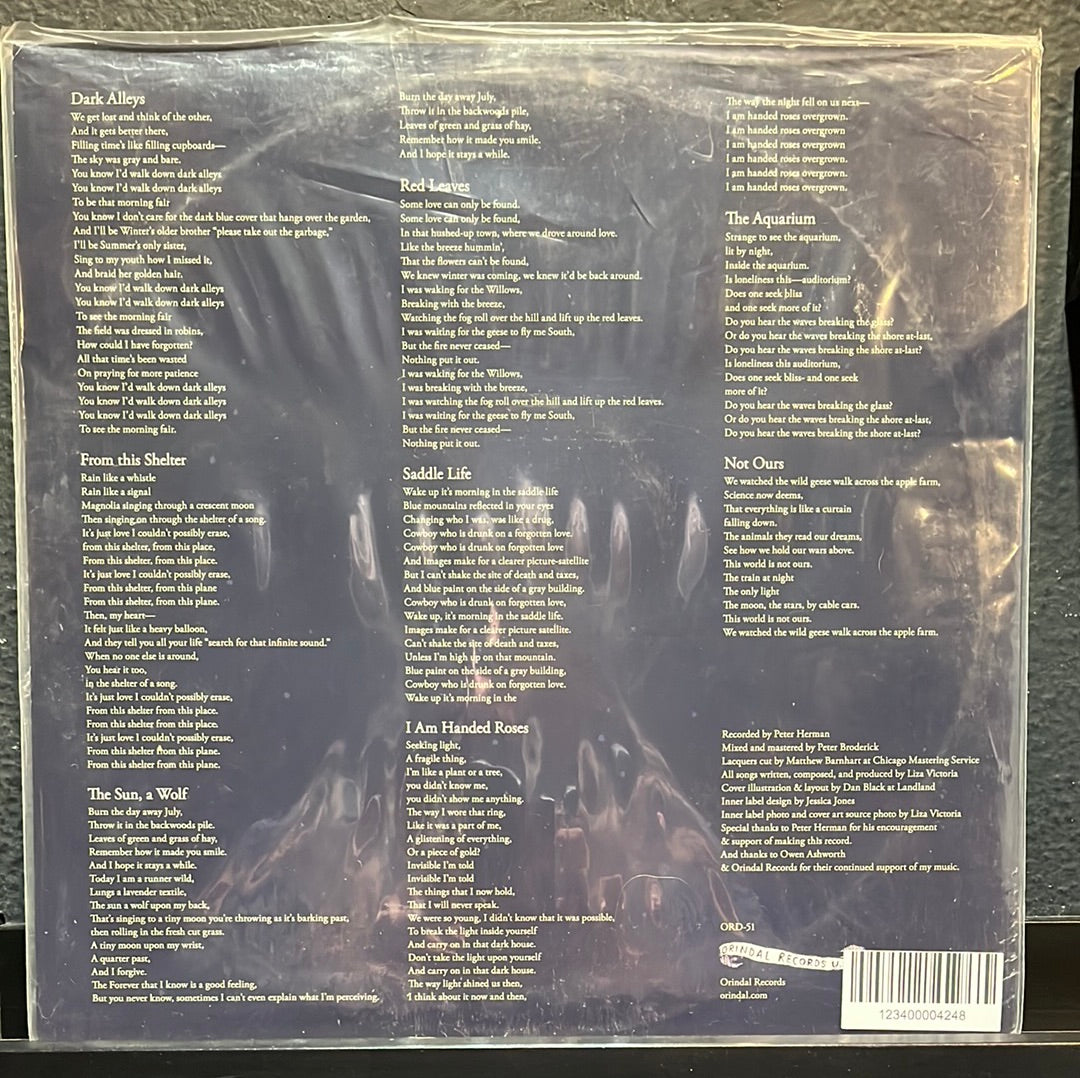 Used Vinyl: Lisa/Liza “Shelter Of A Song” LP