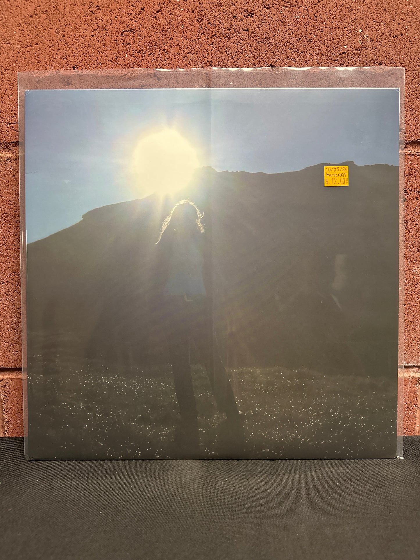 Used Vinyl: Heather Leigh Murray "Devil If You Can Hear Me" LP