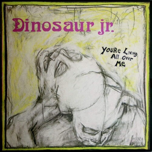 PRE-ORDER: Dinosaur Jr. "You're Living All Over Me" LP (Random Color ReVinyl Edition)