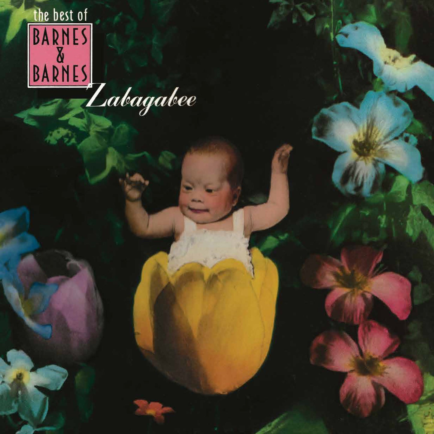 PRE-ORDER: Barnes & Barnes "Zabagabee: The Best Of Barnes & Barnes" LP