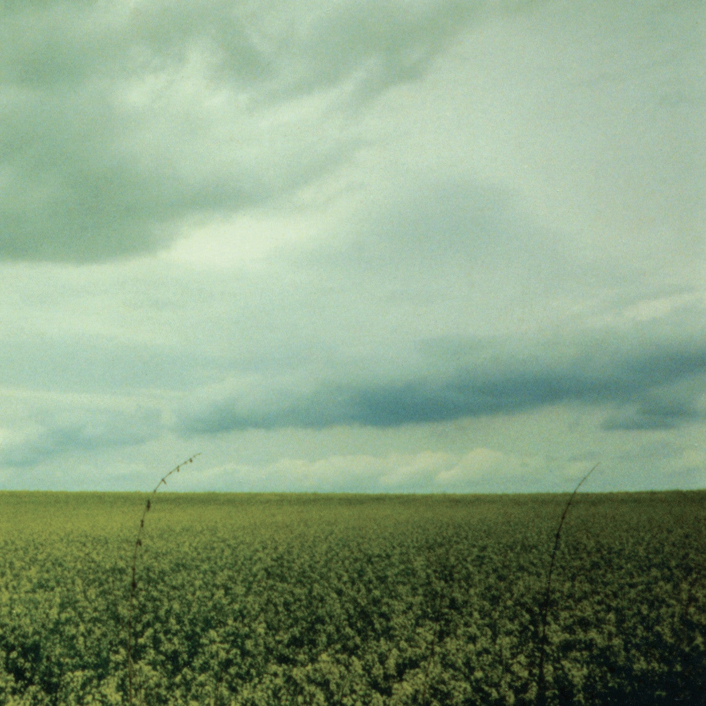 Antarctica "23:03" 12" EP (Coke Bottle Clear Vinyl)