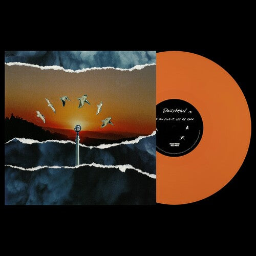 PRE-ORDER: Daisyhead "If You Find It, Let Me Know" LP (Color Vinyl)