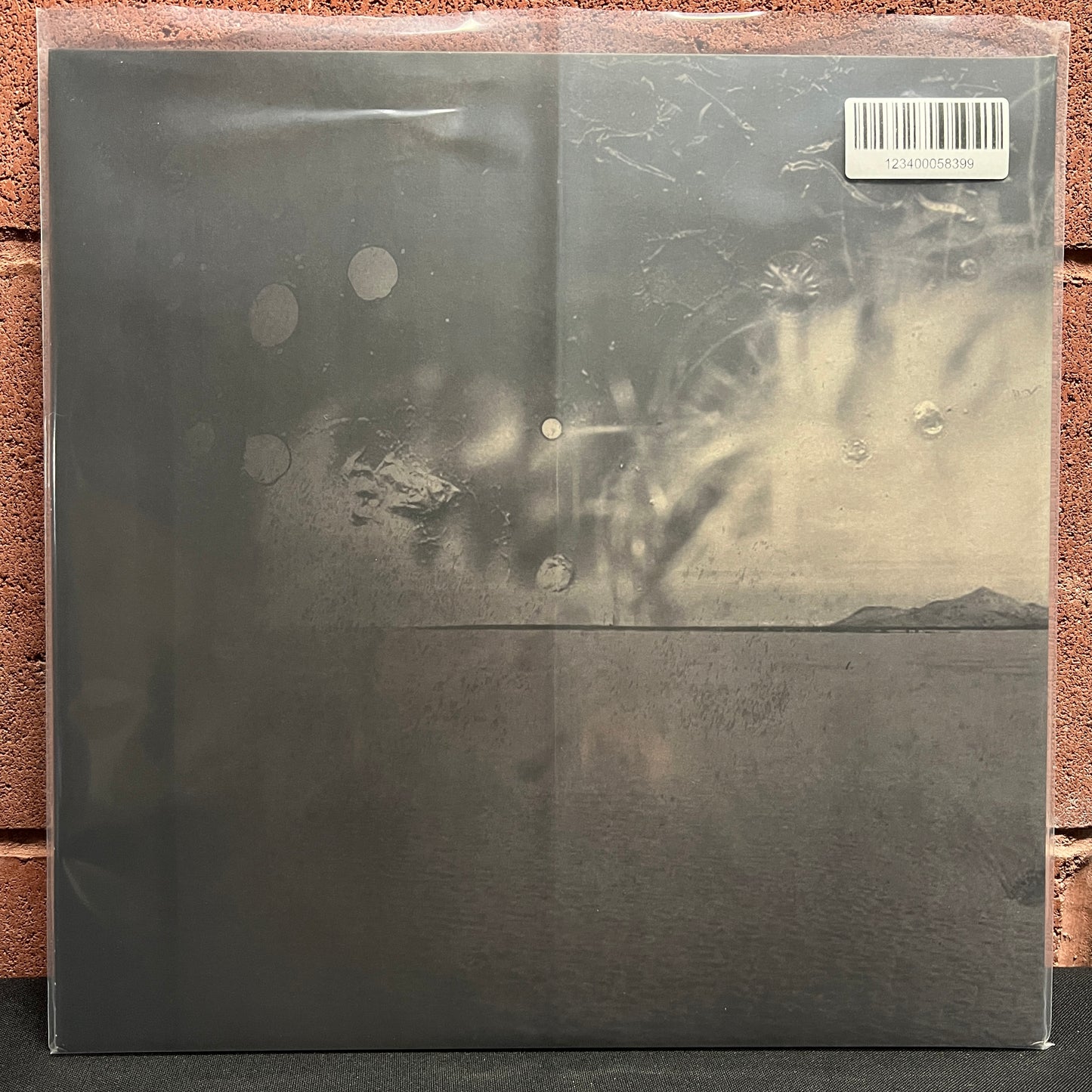 Used Vinyl: Common Eider King Eider "Taaleg Uksur" LP (Brown vinyl)