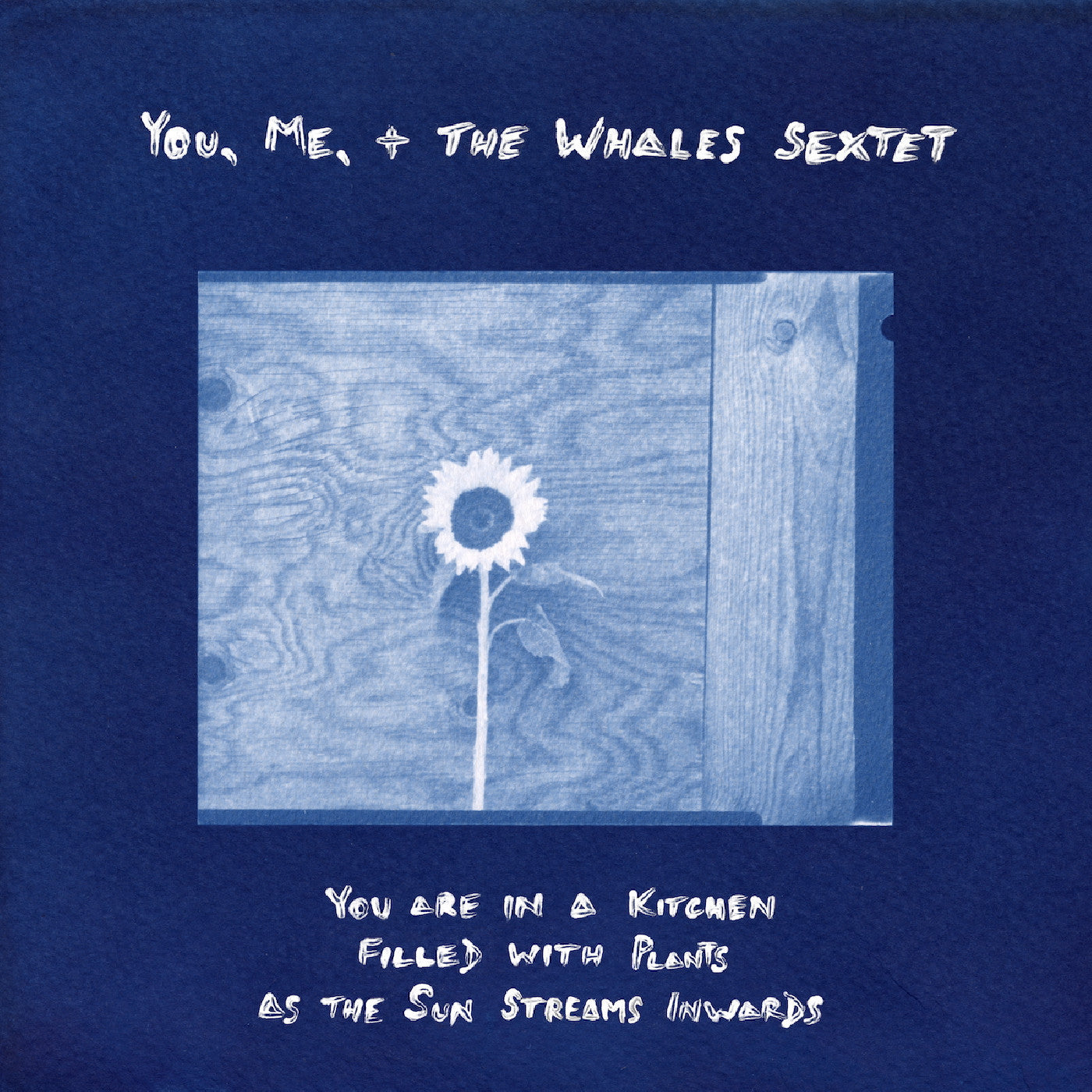 PRE-ORDER: You, Me, + the Whales Sextet "You are in a Kitchen Filled with Plants as the Sun Streams Inwards" LP