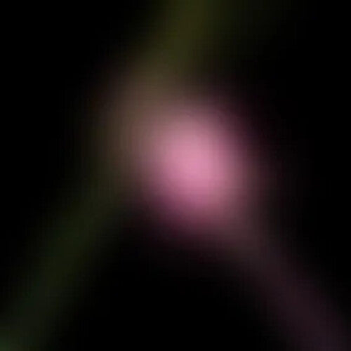 DAMAGED COVER: Various Artists "Wicked For Good: The Soundtrack" LP (Picture Disc w/ Alternate Cover) (Black Friday 2025)