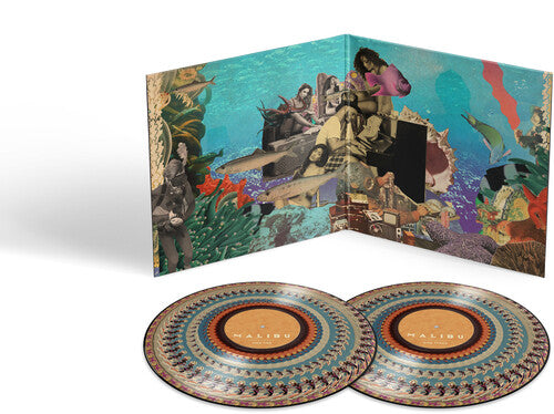 Anderson Paak "Malibu (10 Year Anniversary)" 2xLP (Zoetrope Picture Discs)