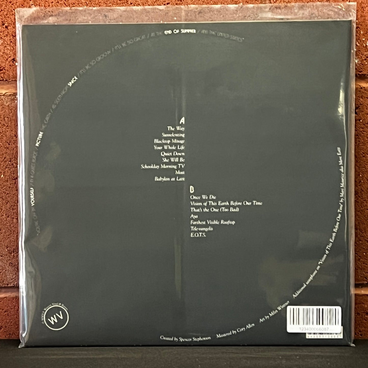 Used Vinyl: Botany "End The Summertime F(or)ever" LP (2020 Press)
