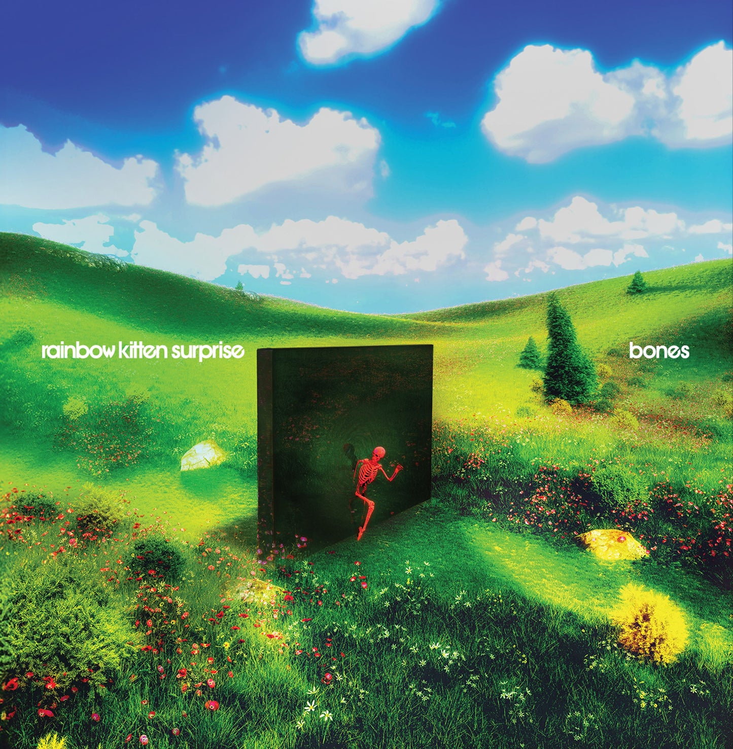 Rainbow Kitten Surprise "bones" LP (Indie Exclusive Banana Vinyl)
