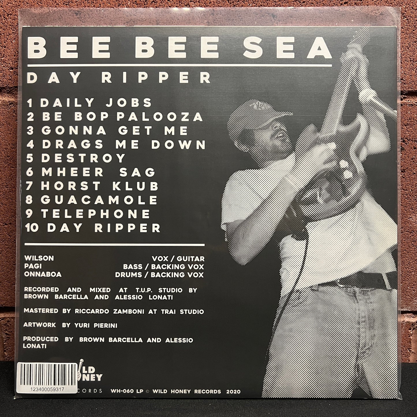 Used Vinyl: Bee Bee Sea "Day Ripper" LP (Grey Marble Vinyl)