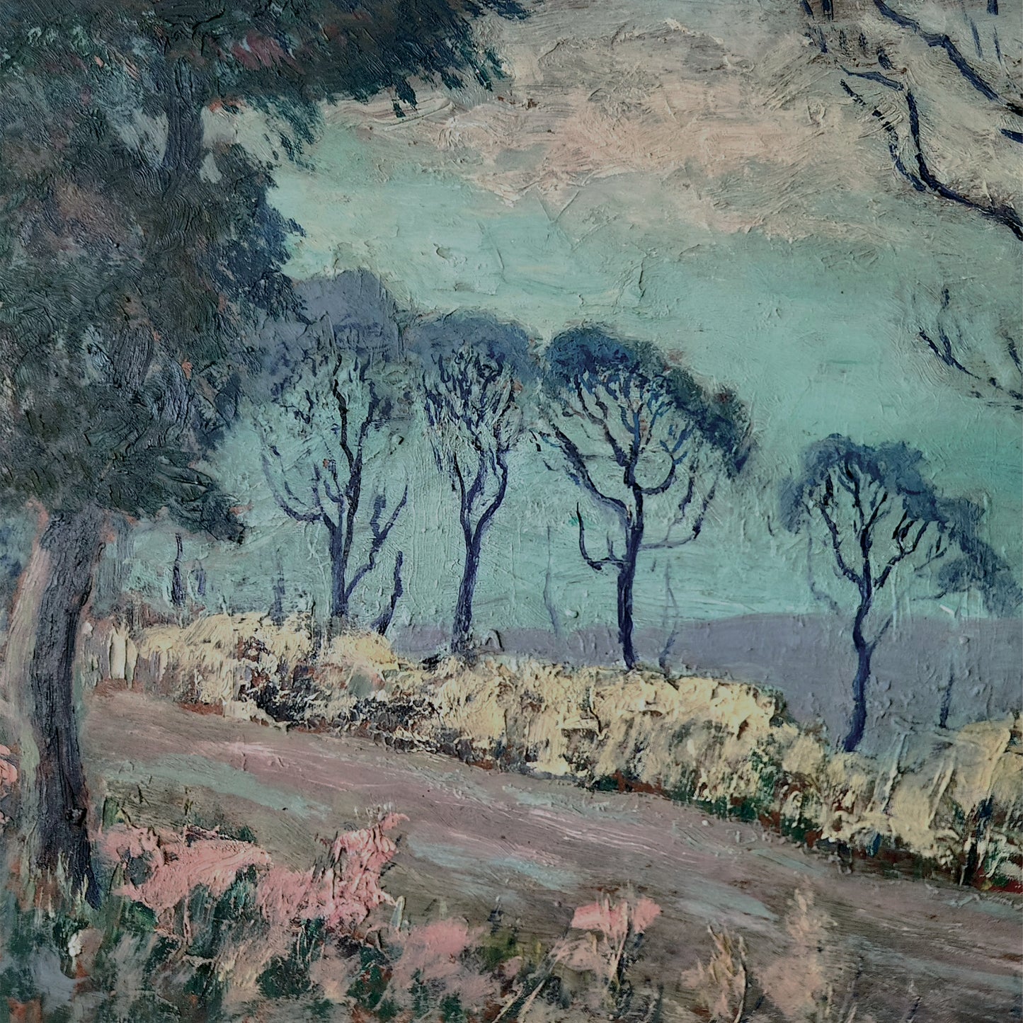 Advance Base "Horrible Occurrences" LP