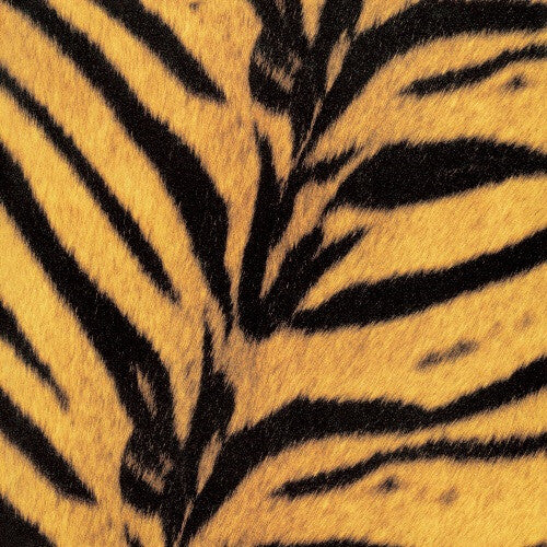 PRE-ORDER: The High-Lows "Tigermobile" LP (Import)