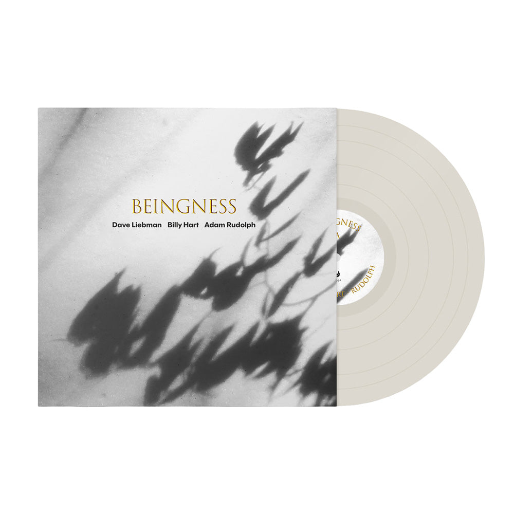 PRE-ORDER: Dave Liebman, Billy Hart, Adam Rudolph "Beingness" LP (180g Cream Vinyl)