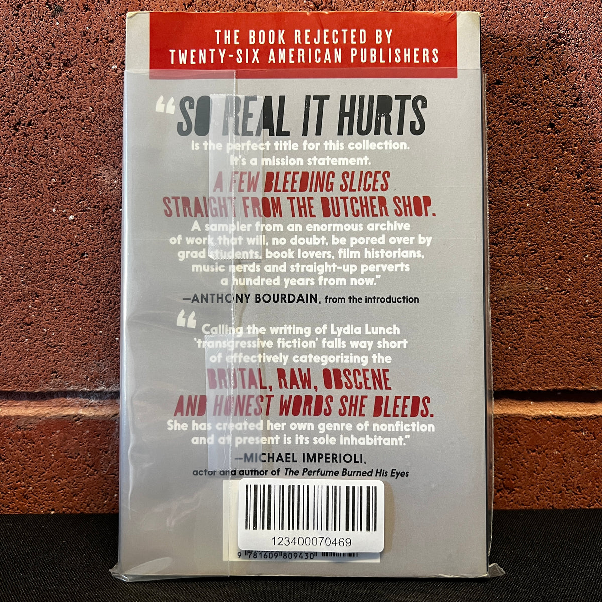 Used Book: Lydia Lunch "So Real It Hurts" Book (2015 Press)
