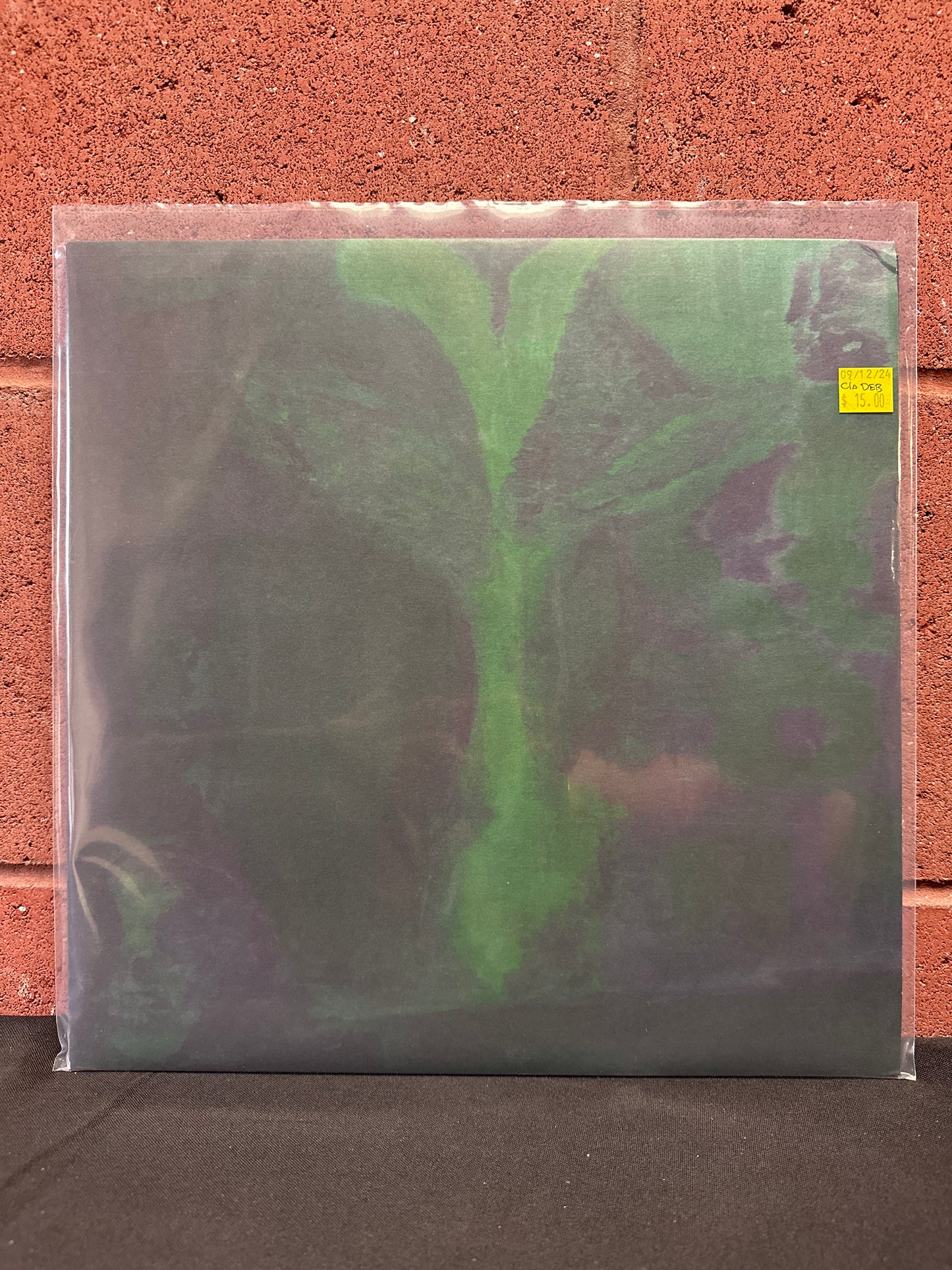 Used Vinyl: C.I.A. Debutante "Music For Small Rooms" 12"