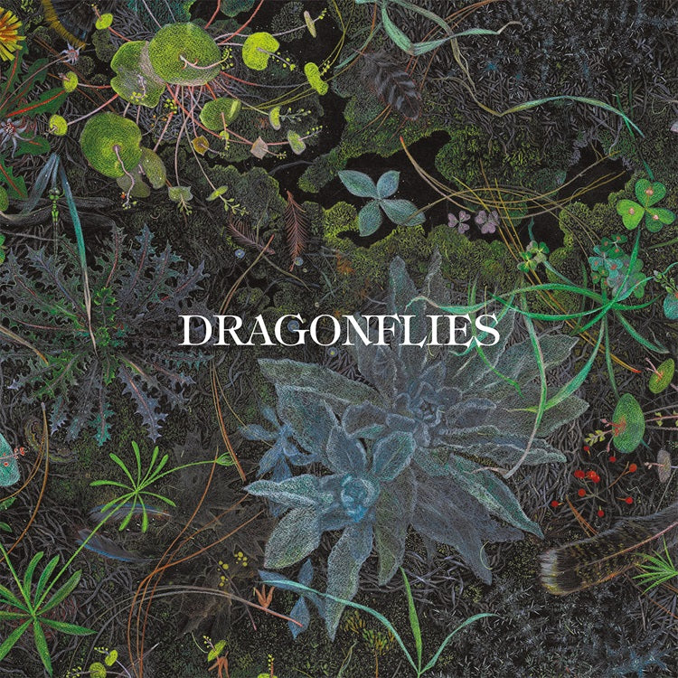 PRE-ORDER: Dragonflies "S/T" LP (Indie Exclusive Color Vinyl)