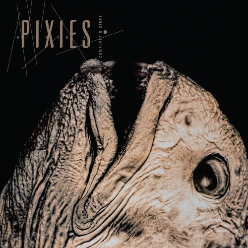 PRE-ORDER: Pixies "Complete B Sides 1988-97 remaster" 2xLP (Black Vinyl)