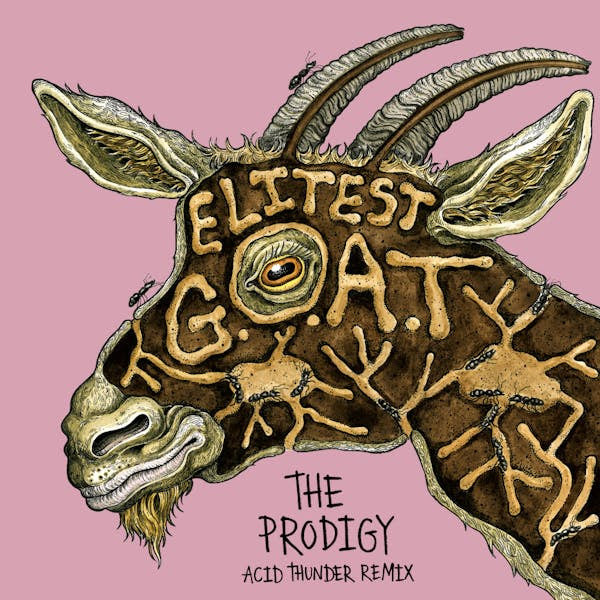 PRE-ORDER: Sleaford Mods & The Prodigy feat. Aldous Harding "Elitest G.O.A.T. (The Prodigy Acid Thunder Mix)" 7" (Gold Vinyl)