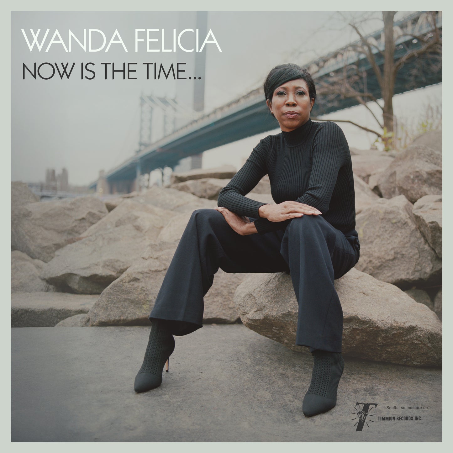 PRE-ORDER: Wanda Felicia & Cold Diamond & Mink "Now Is The Time" LP (Transparent Pink Vinyl)