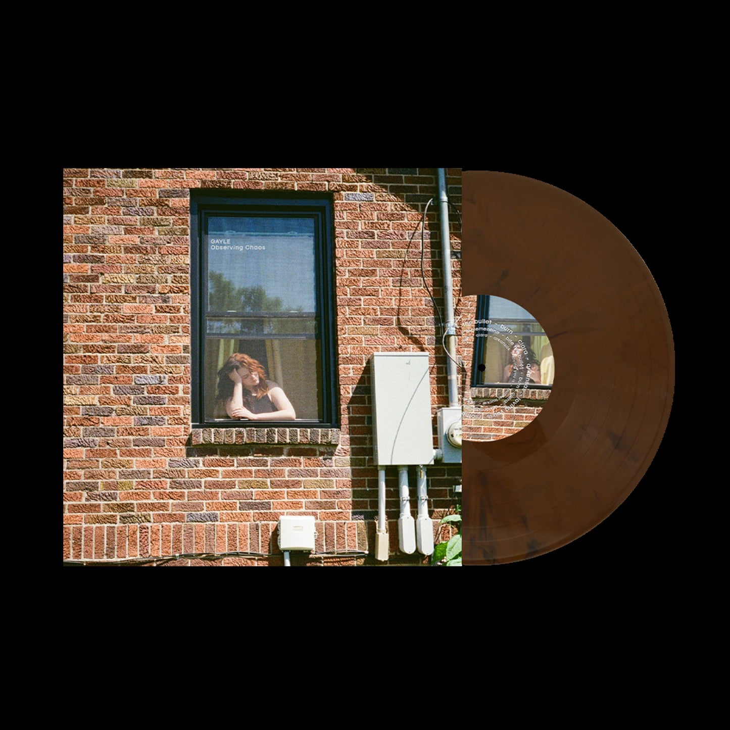 PRE-ORDER: GAYLE "Observing Chaos" LP (Color Vinyl)