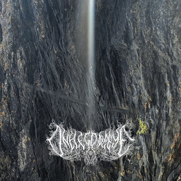 PRE-ORDER: One Leg One Eye "CRONE" LP
