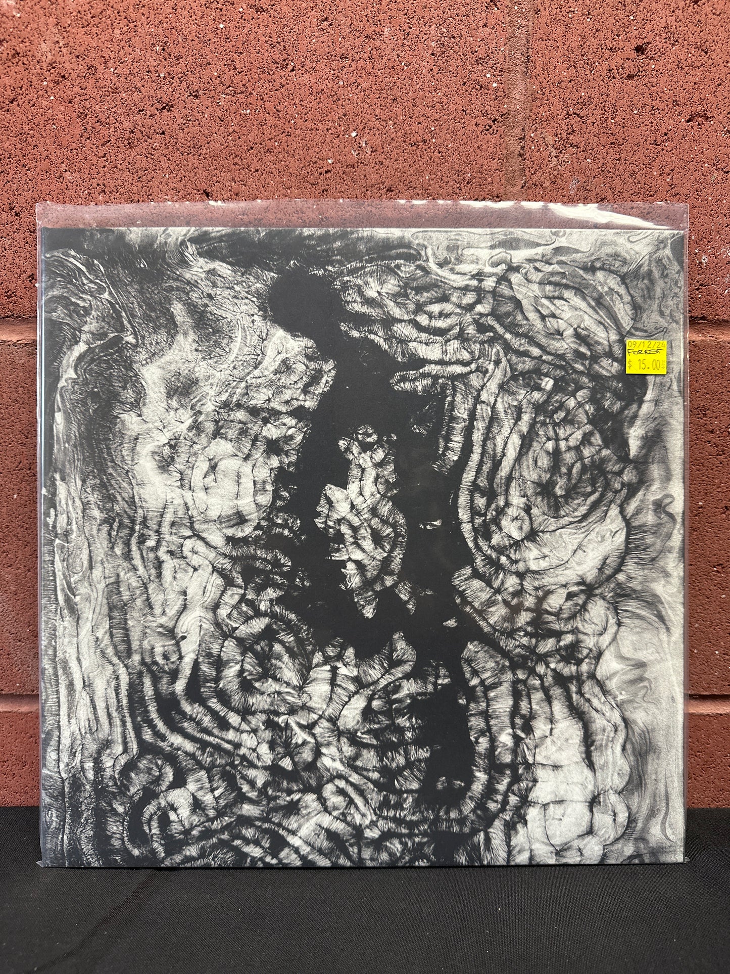 Used Vinyl: Forests "Idol Collapse" LP