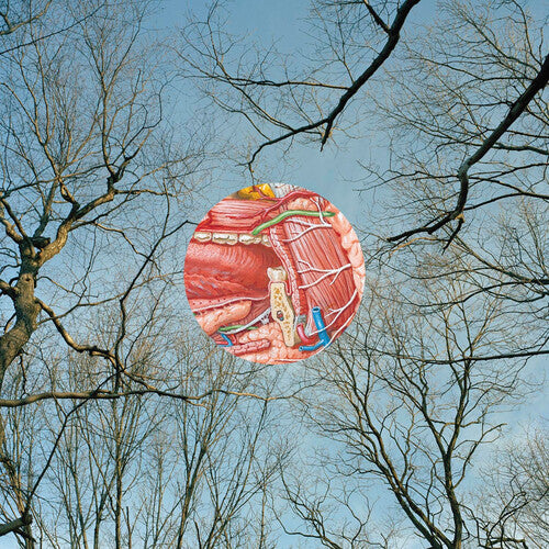 They Might Be Giants "Glean" LP (Clear Red Vinyl)