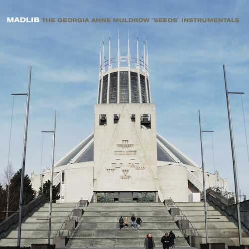 Madlib / Georgia Anne Muldrow "Seeds (Instrumentals)" LP