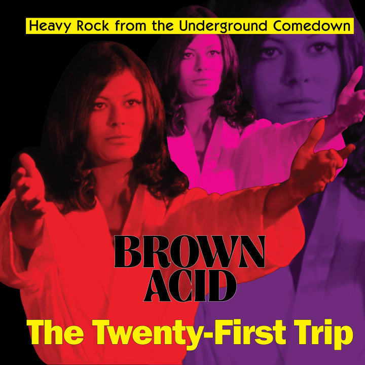 V/A "Brown Acid: The Twenty-First Trip" LP