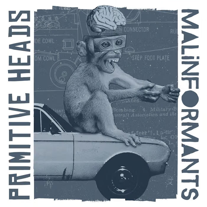 Malinformants / Primitive Heads "Split" LP