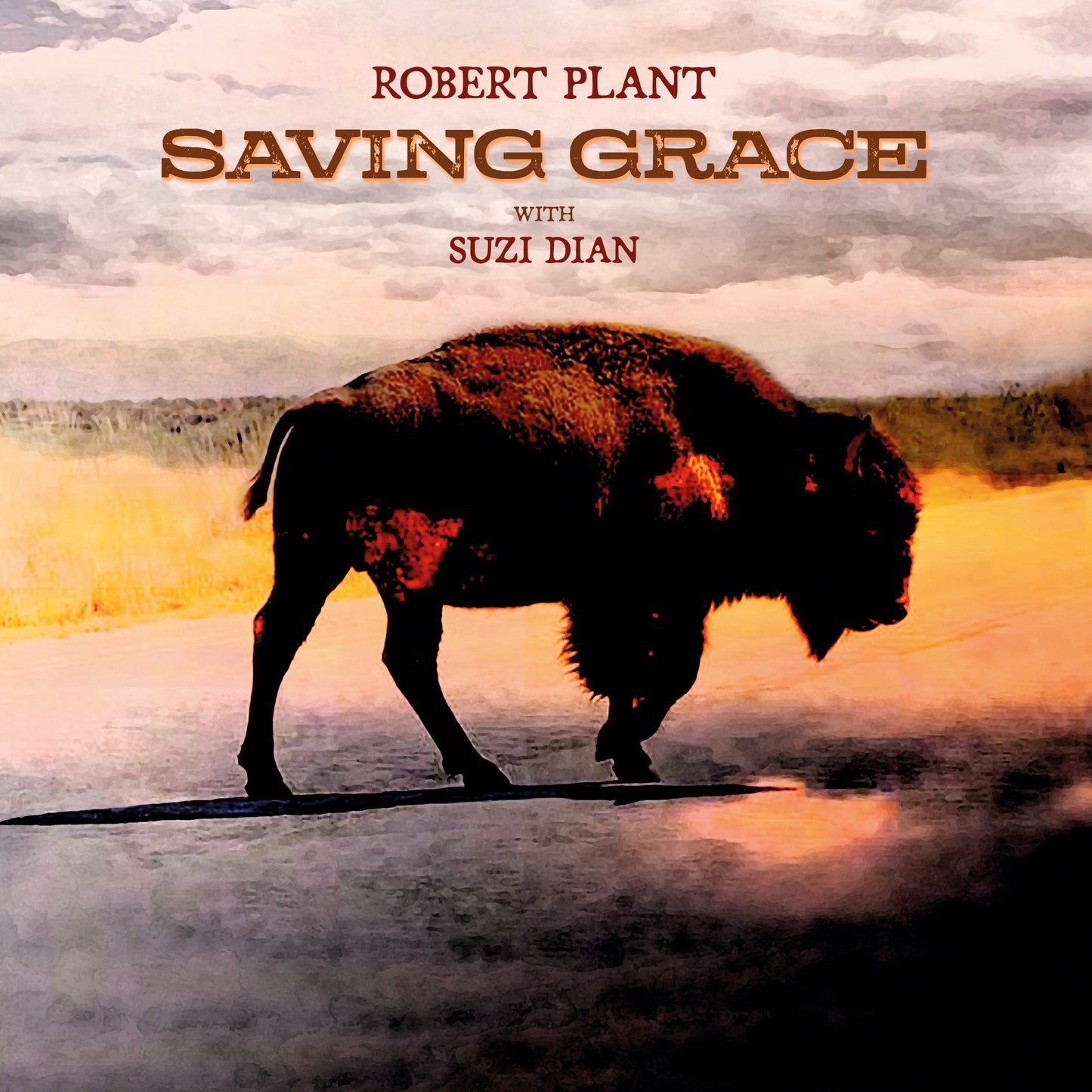 Robert Plant "Saving Grace" LP