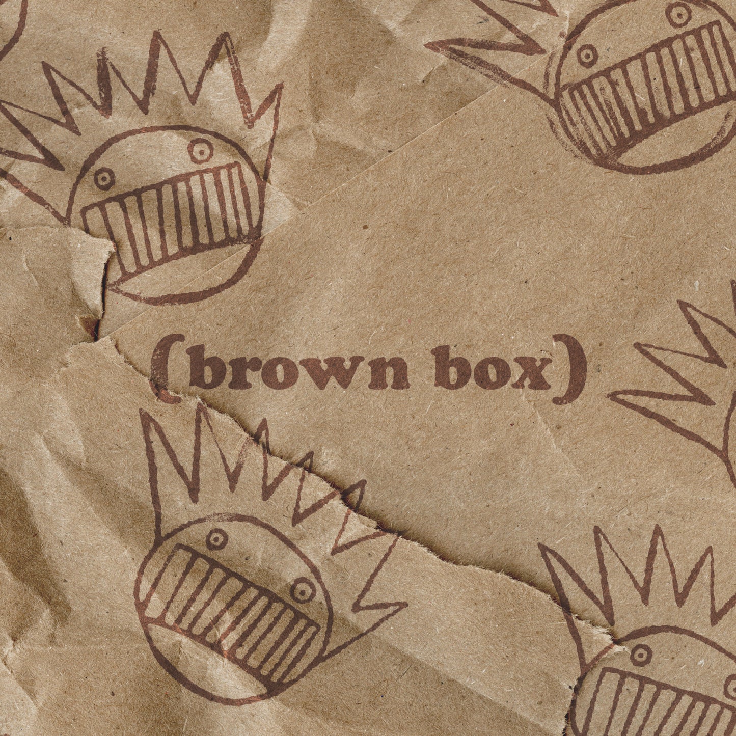 PRE-ORDER: Ween "Brown Box" 10xCD Box Set