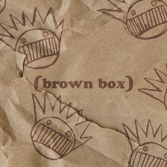 PRE-ORDER: Ween "Brown Box" 10xCD Box Set