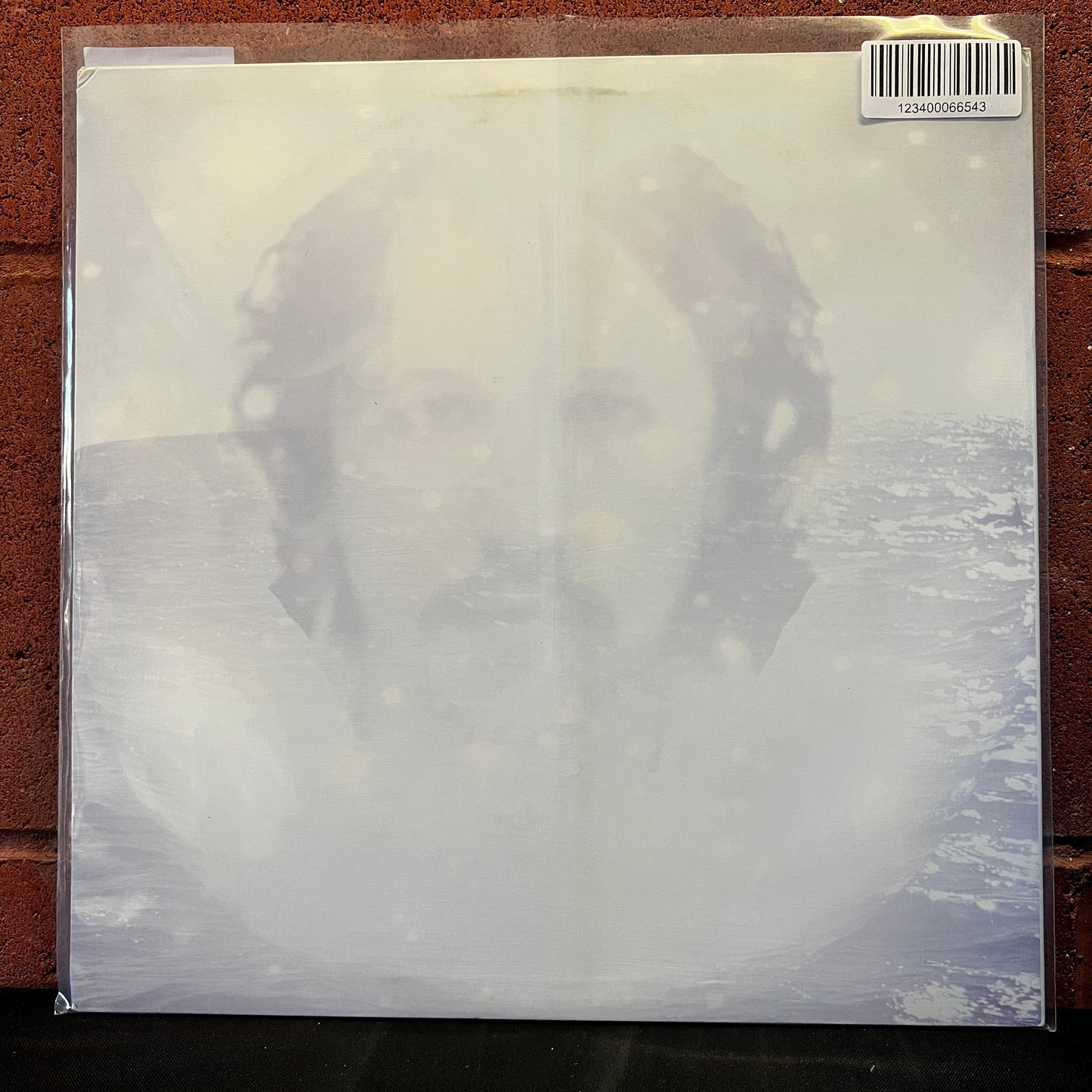 Used Vinyl: Dolphins Into The Future "…On Sea-Faring Isolation" LP (2011 Press)
