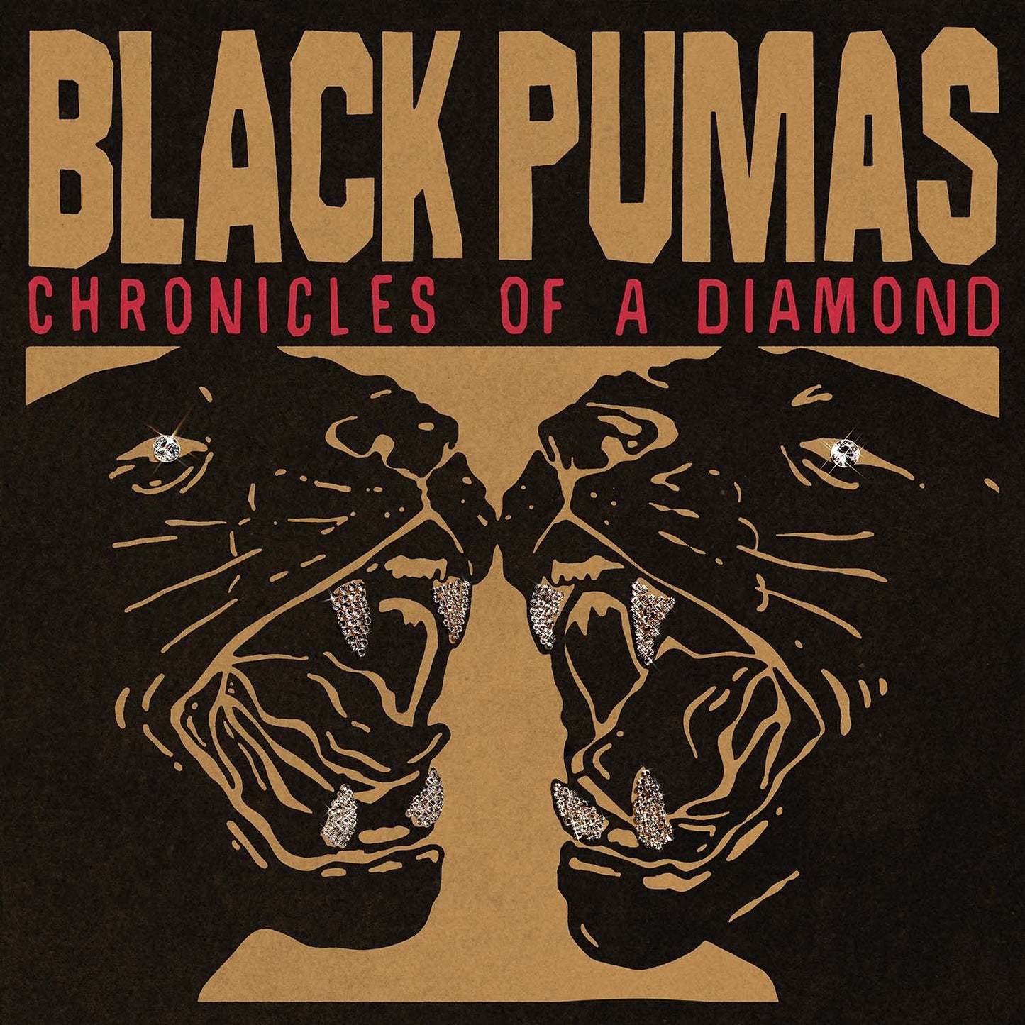 Black Pumas "Chronicles of a Diamond" Indie Exclusive LP (Clear Vinyl)