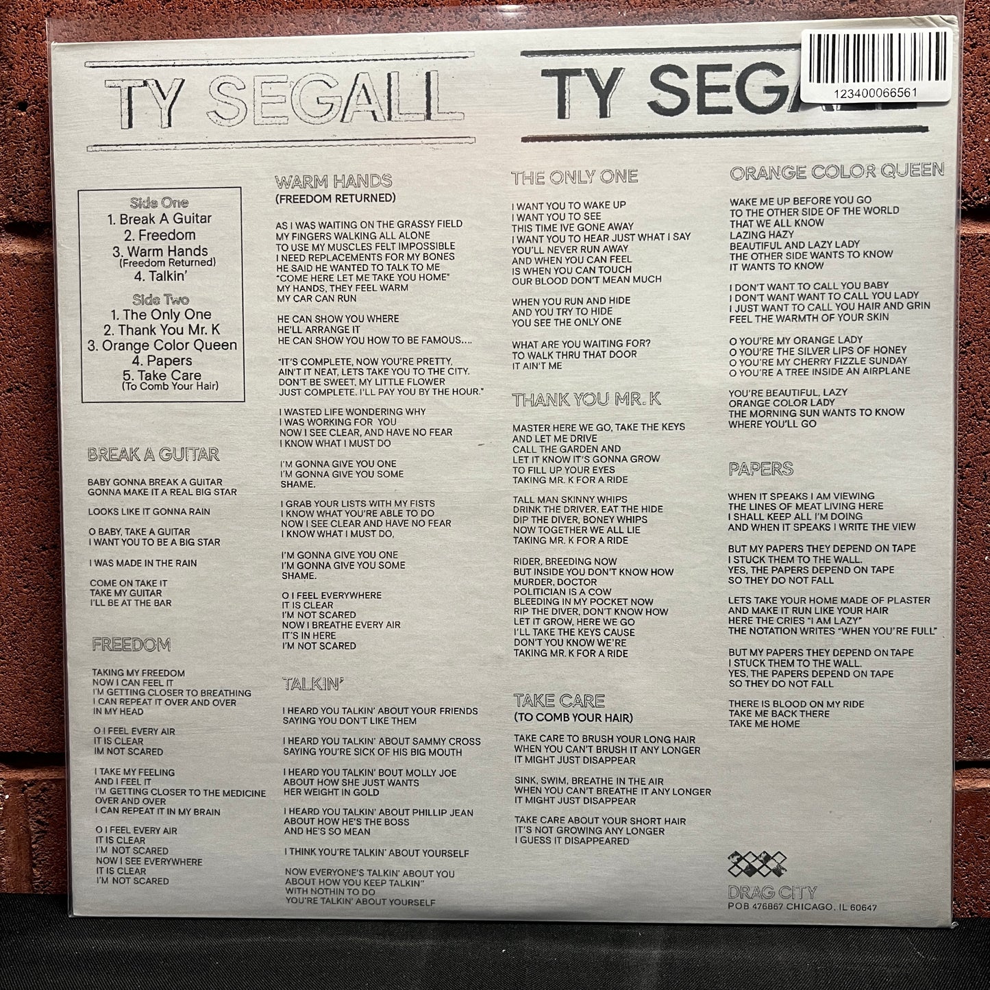 Used Vinyl: Ty Segall "S/T" LP (2017 Press)