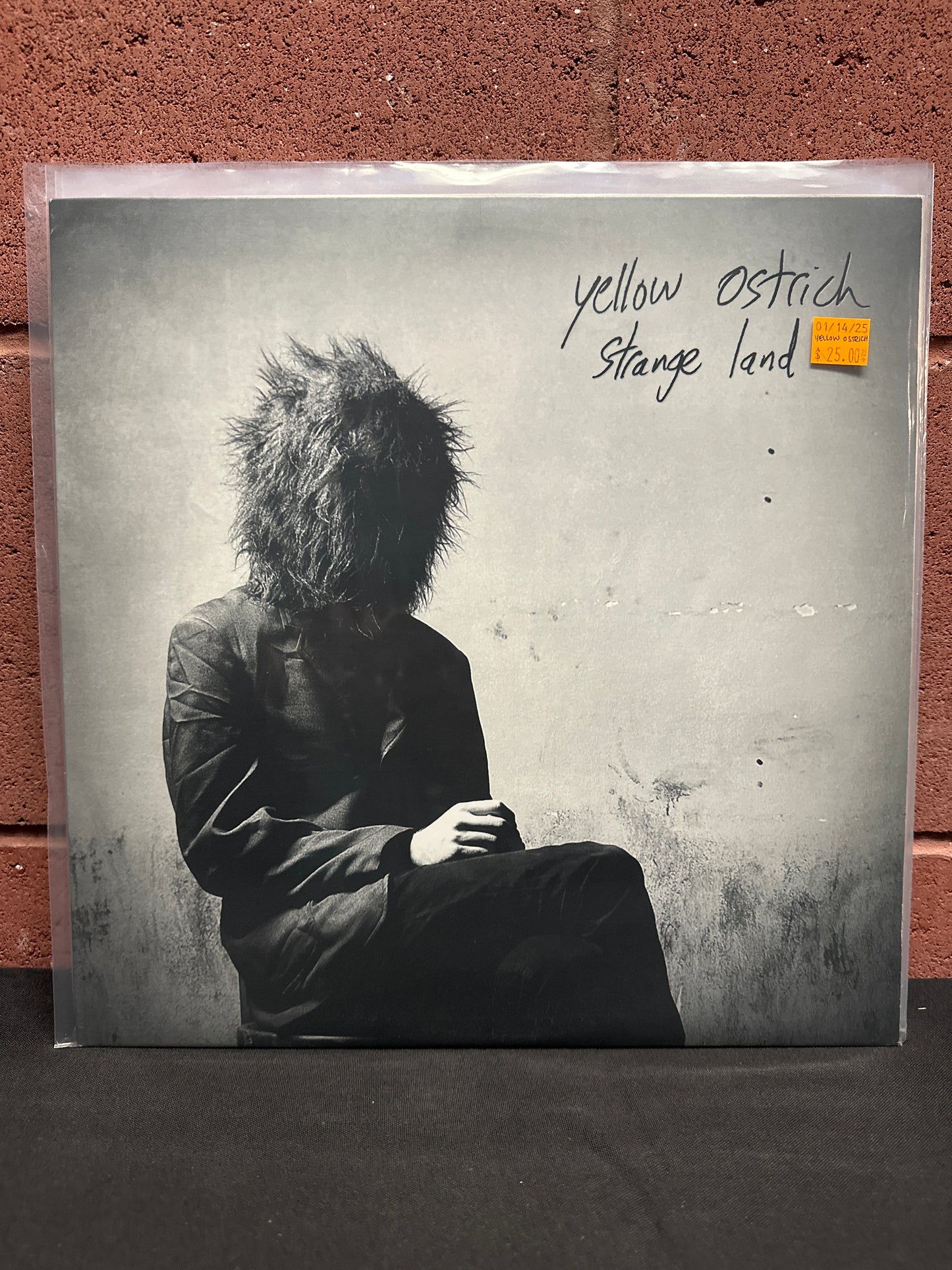 Used Vinyl: Yellow Ostrich "Strange Land" LP