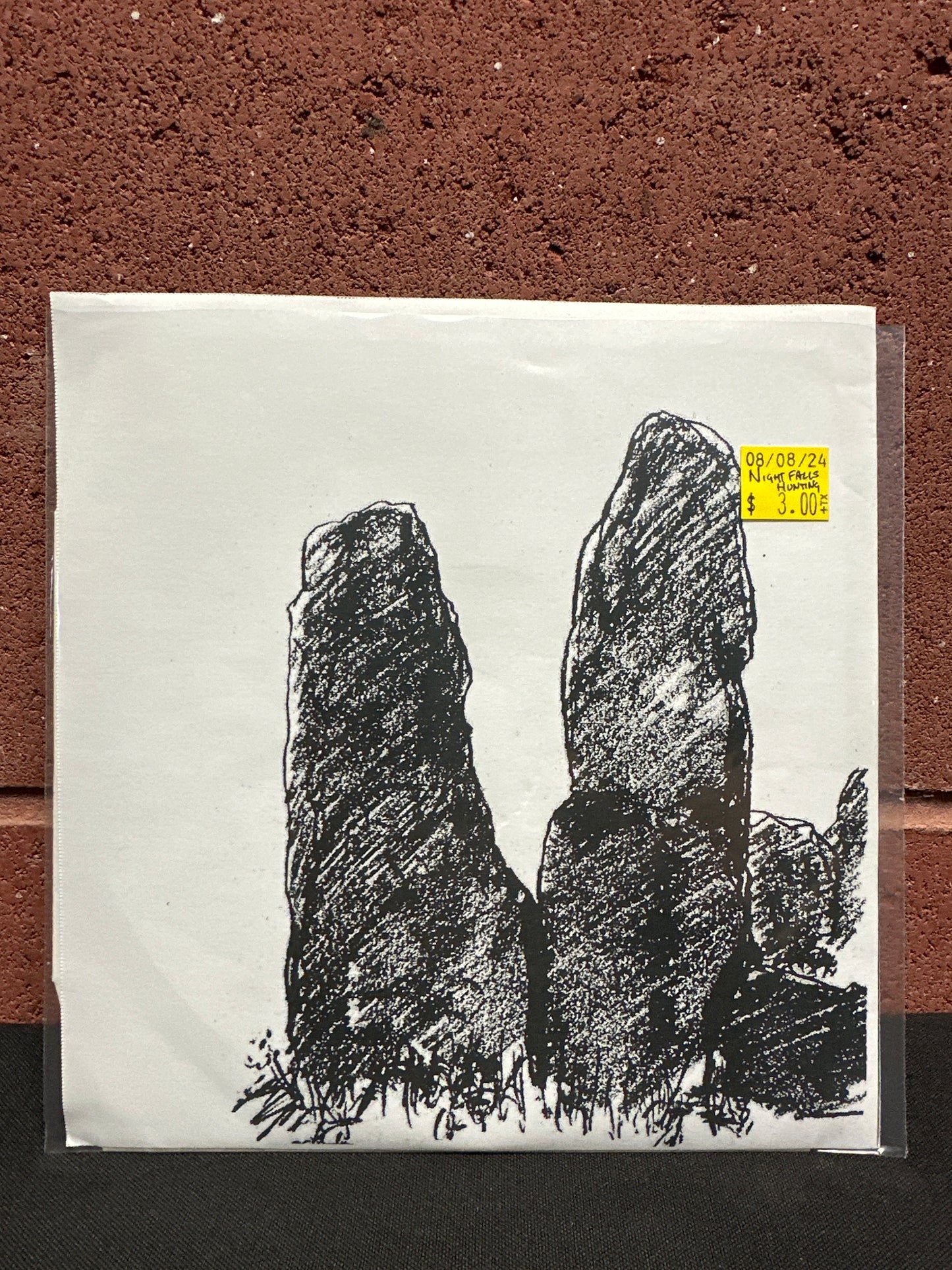 Used Vinyl: Night Falls Haunting "These Days b/w Expectations" 7"