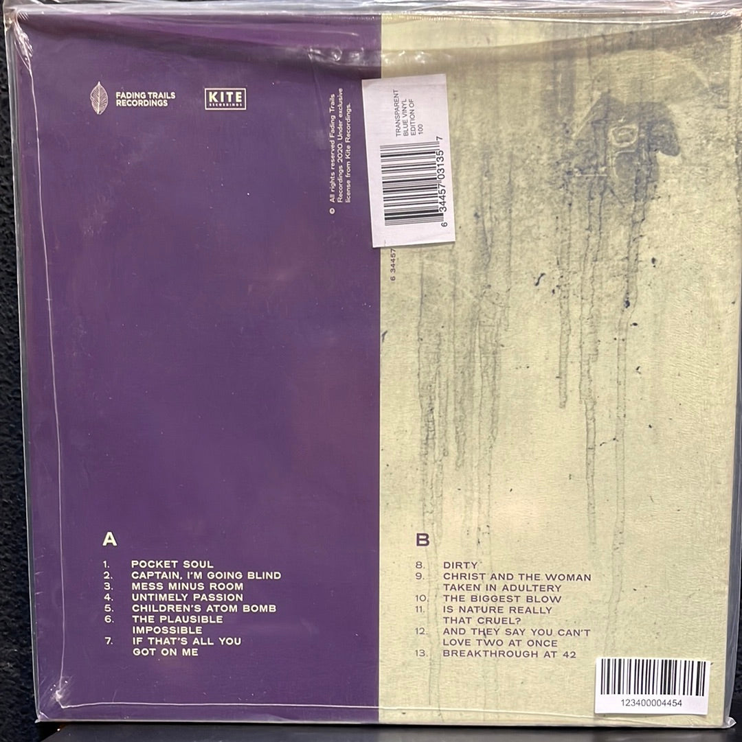 Used Vinyl: I'm Kingfisher "The Past Has Begun" LP (Transparent Blue Vinyl)