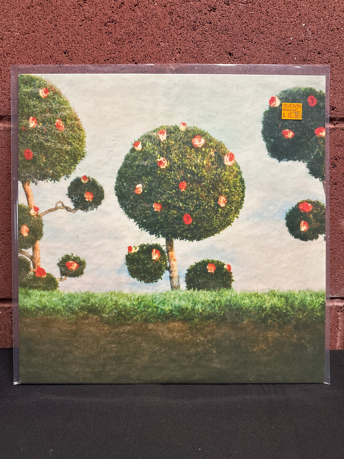 Used Vinyl: Midnight Sister "Painting The Roses" LP