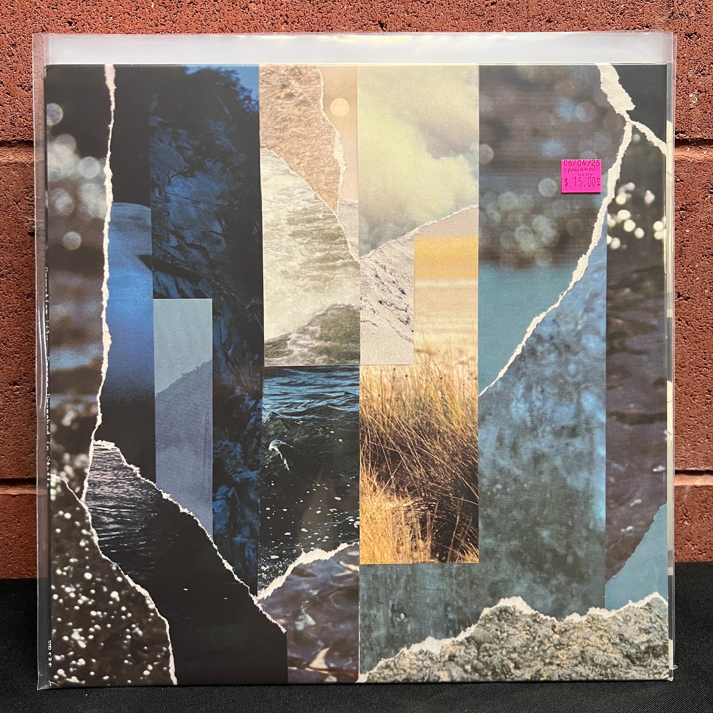 Used Vinyl: Cremation Lily "Dreams Drenched in Static" LP